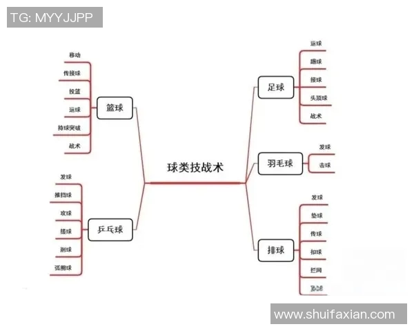 赛后分析：西安篮球队与深圳篮球队的战术配合与表现评估