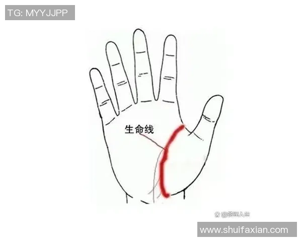 探索上海足球明星的手相秘密与人生轨迹的独特联系