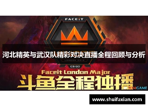 河北精英与武汉队精彩对决直播全程回顾与分析