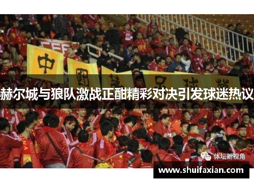 赫尔城与狼队激战正酣精彩对决引发球迷热议